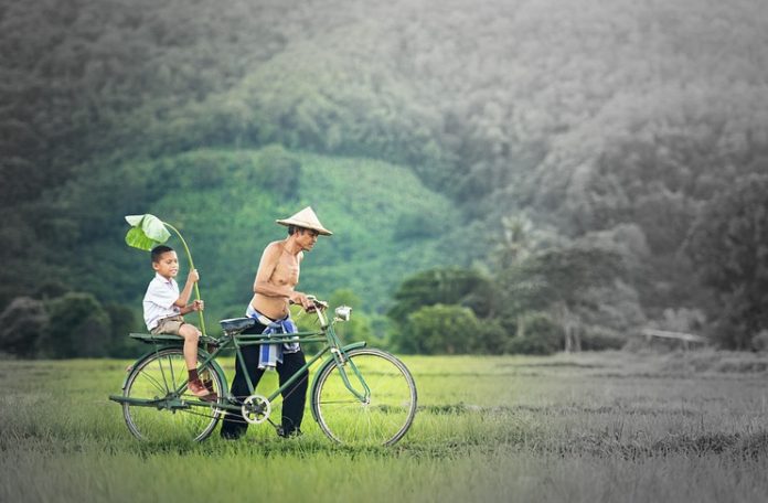 petani-kamboja