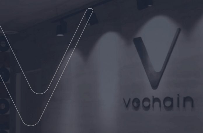 vechain01