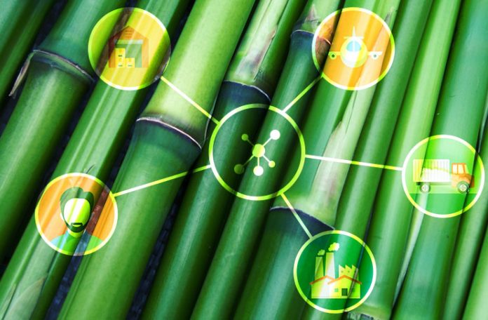 blockchaindanbambu