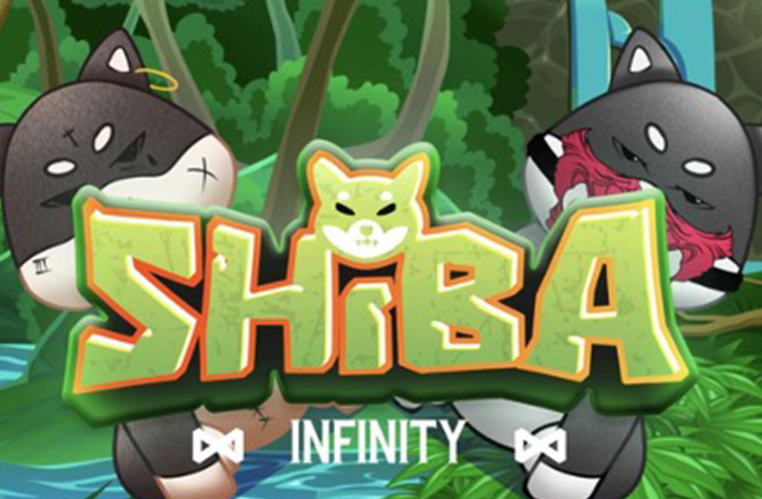 Shiba Infinity