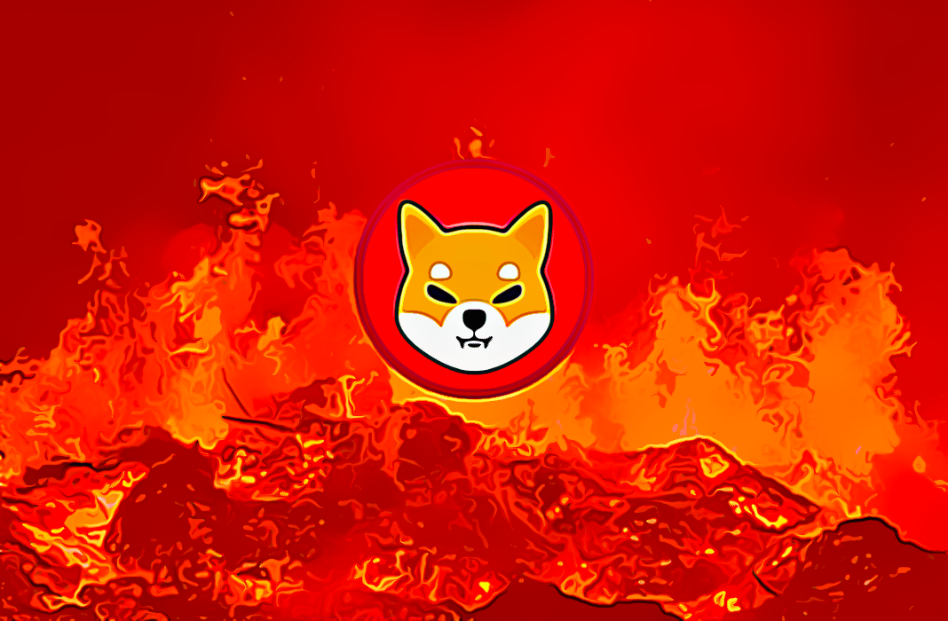 how to burn shiba , what is driving shiba up