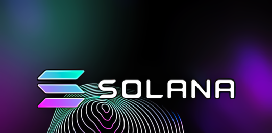 Solana SOL Kripto blockchain