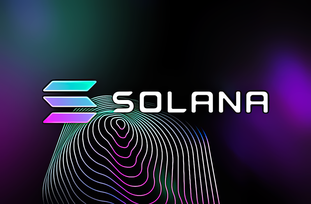 Solana SOL Kripto blockchain
