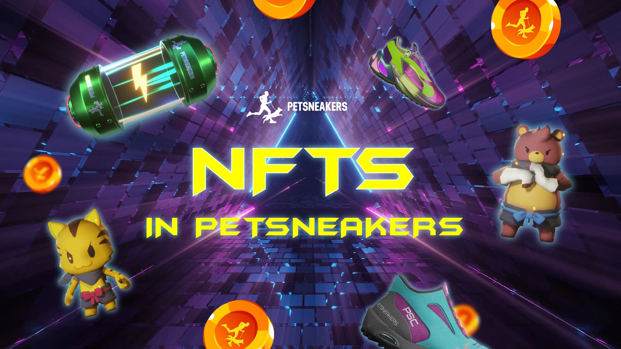 Petsneakers NFT 1