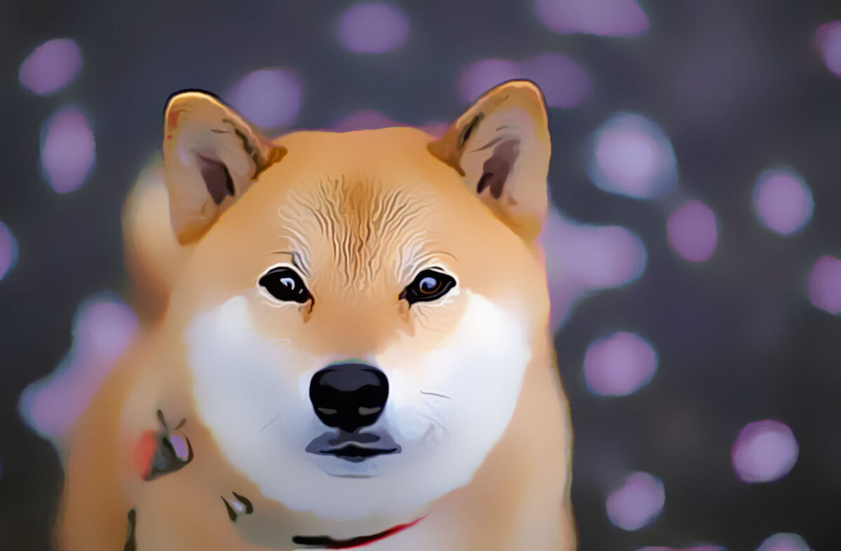 Mampukah Protokol Libdogecoin Membuat Use Case Dogecoin (DOGE) Jadi Lebih  Baik? – Blockchain Media Indonesia