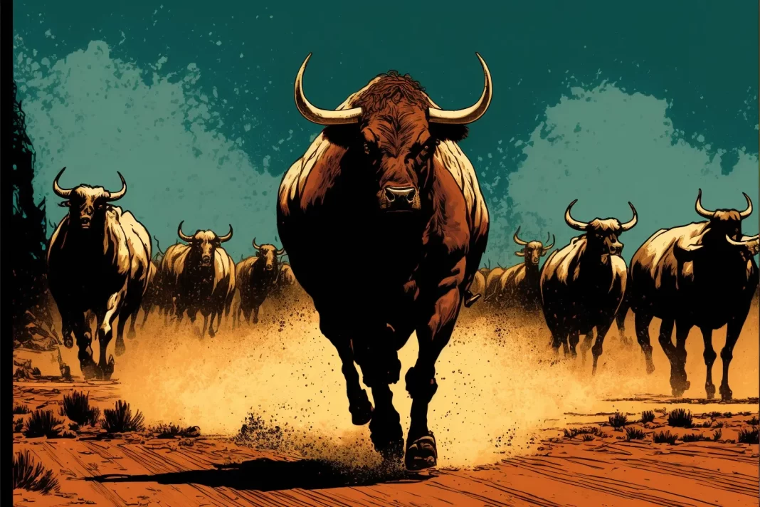 bitcoin bull crypto market