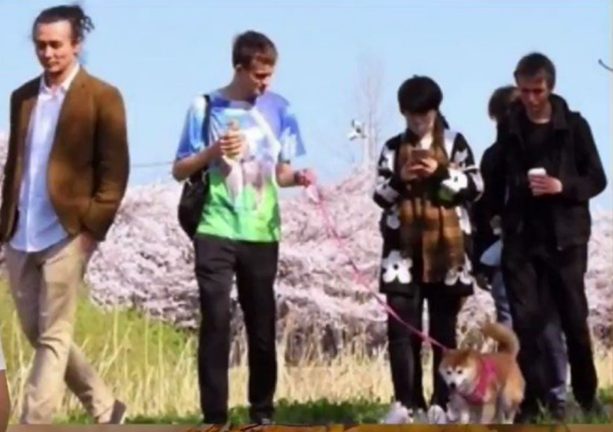 Orang pertama di sebelah kiri mungkin Ryoshi Diikuti oleh pendiri Ethereum Vitalik dengan kemeja hijau kemudian, Direktur Eksekutif Yayasan Ethereum Aya Miyaguchi bermain dengan Ponsel dan dua orang tak dikenal lainnya