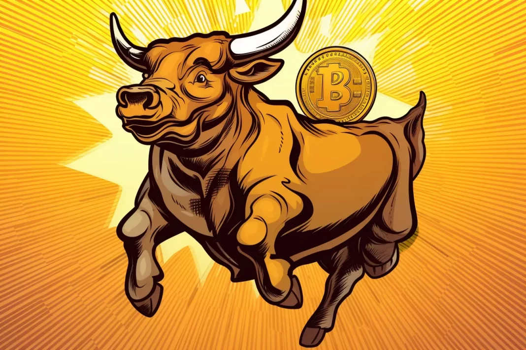 bull run bitcoin