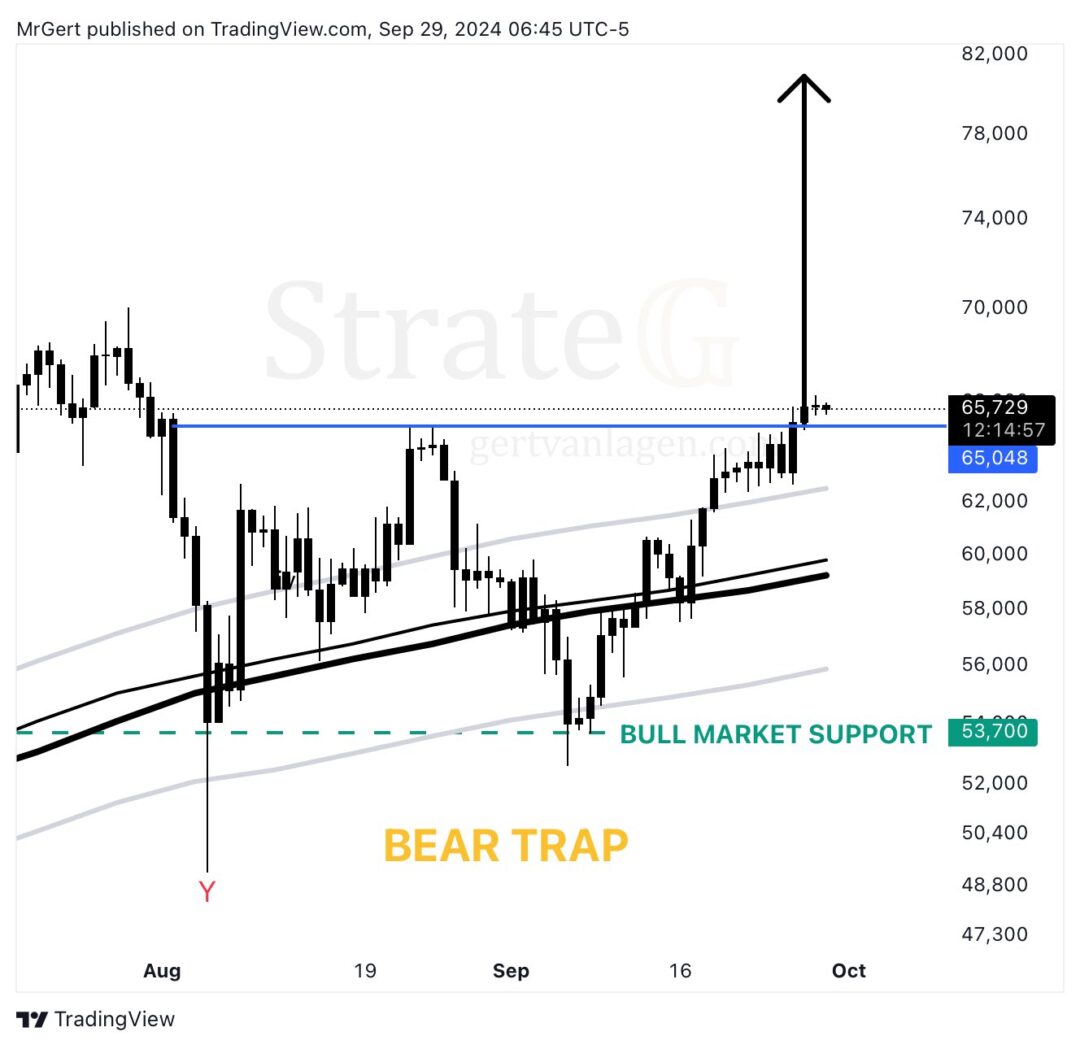 pola bull market bitcoin