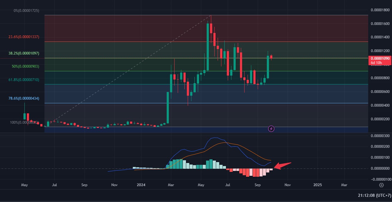 gelagat Pepecoin berikutnya