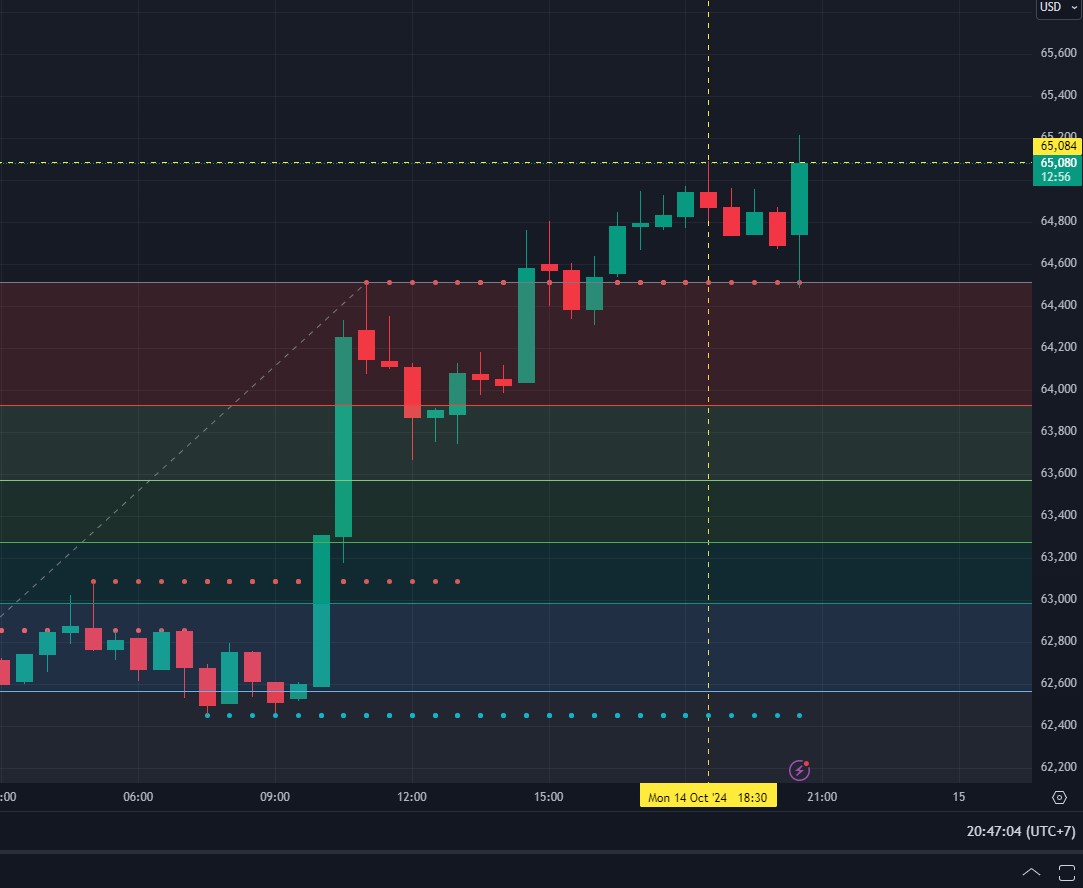 harga bitcoin sukses menyentuh US$65 ribu lagi.