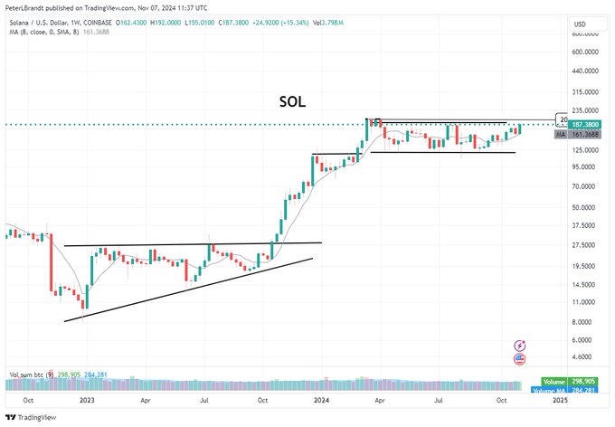 harga SOL hari ini dan pandangan trader peter brandt