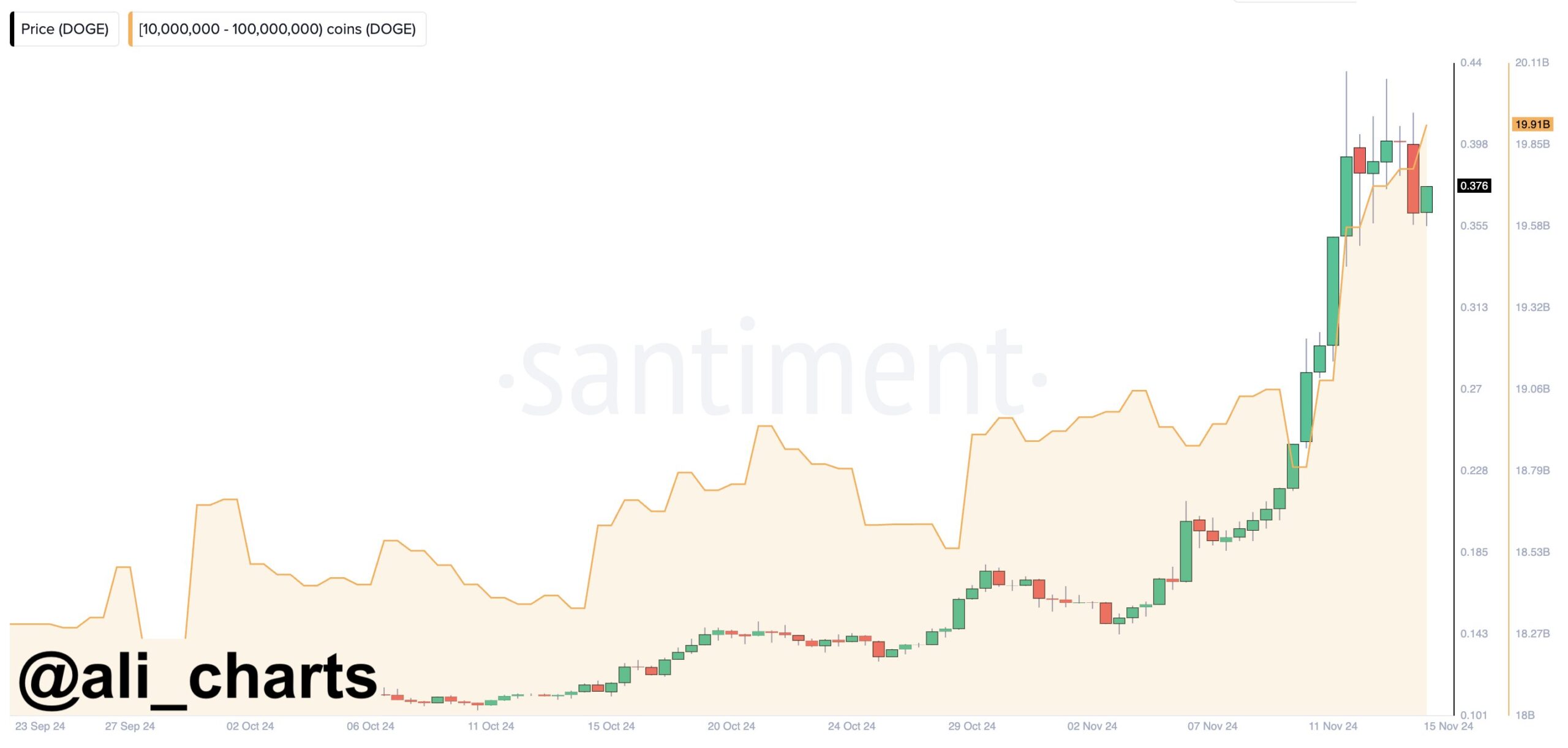 whale dogecoin ramai-ramai serok