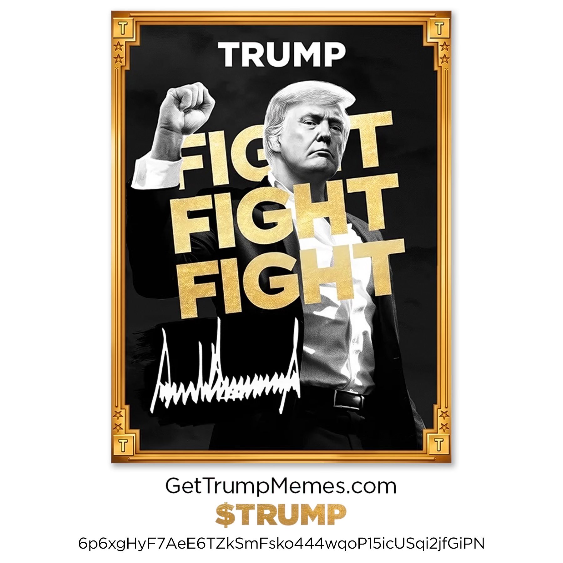 Poster Meme Coin Trump - Donald Trump