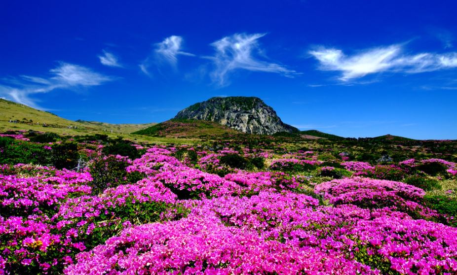 Pulau Jeju - Pemerintah Republik Korea Selatan