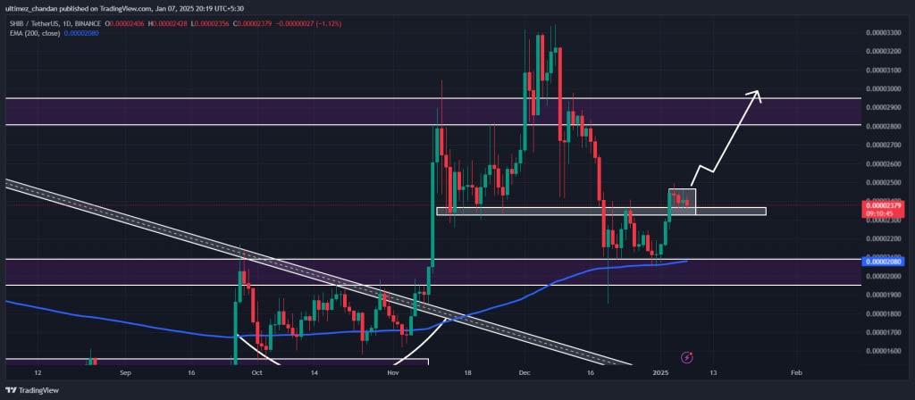 pola double bottom altcoin shib 2025