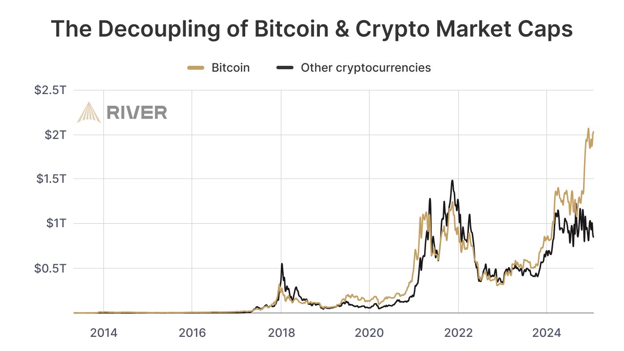 Pemisahan Kapitalisasi Pasar antara Bitcoin dan Altcoin - Sam Wouters