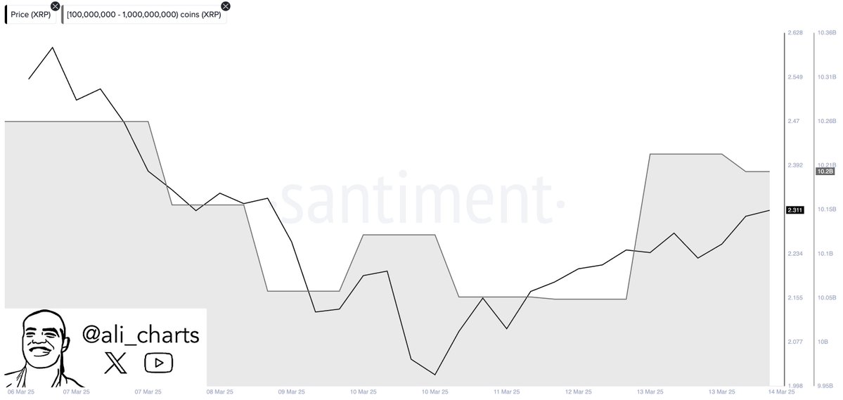 Akumulasi XRP oleh Whale - Ali Martinez