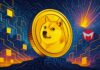 Dogecoin Labs Doge meme coin