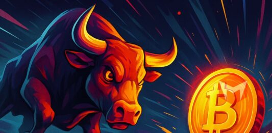siklus bull run crypto