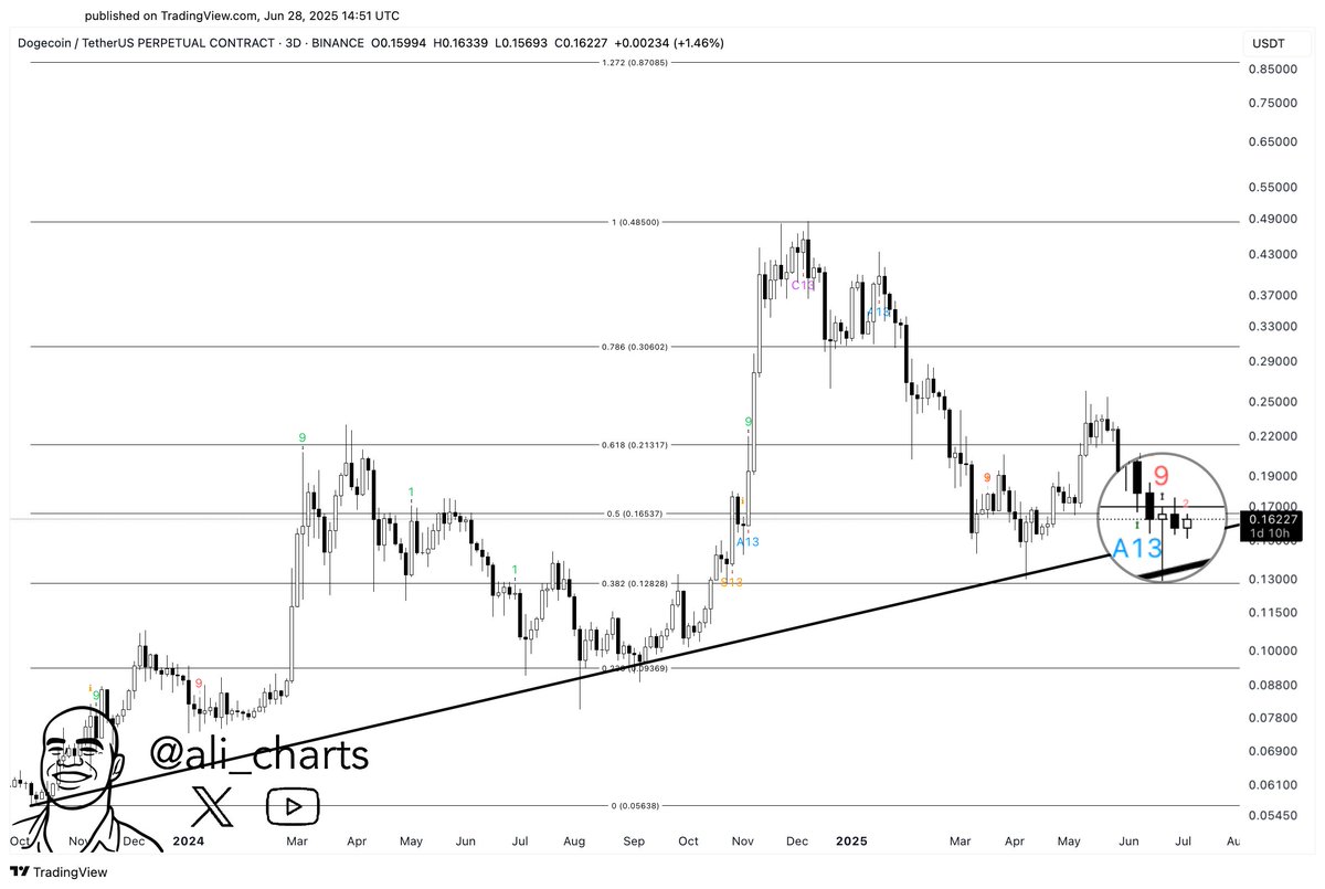 Prediksi DOGE Bulan Juli 2025 - Ali Martinez