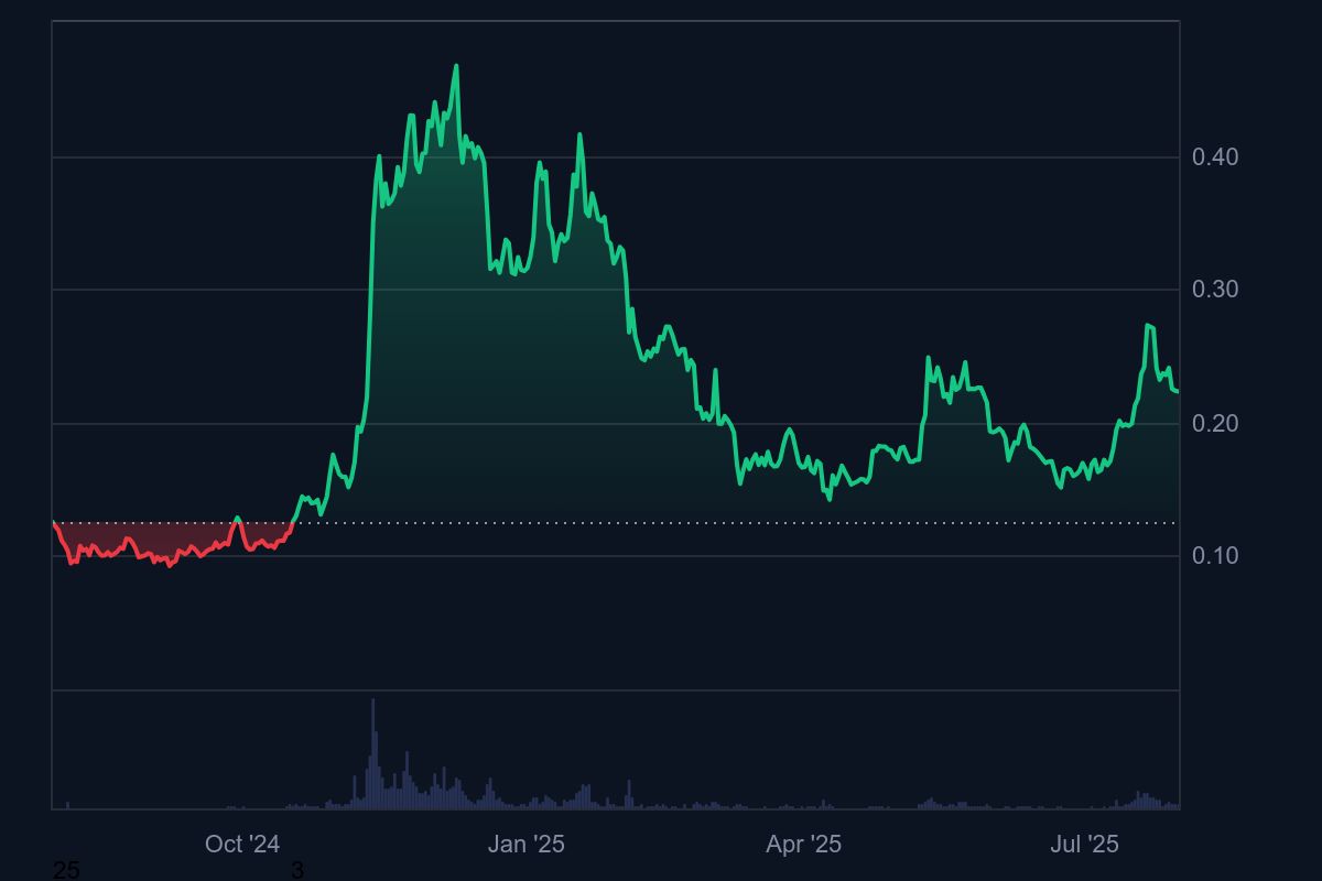 Harga DOGE dalam setahun terakhir.