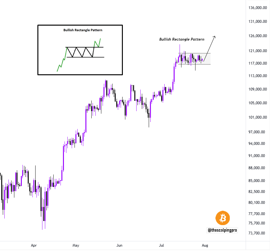 Pola Bullish Rectangle - Mags