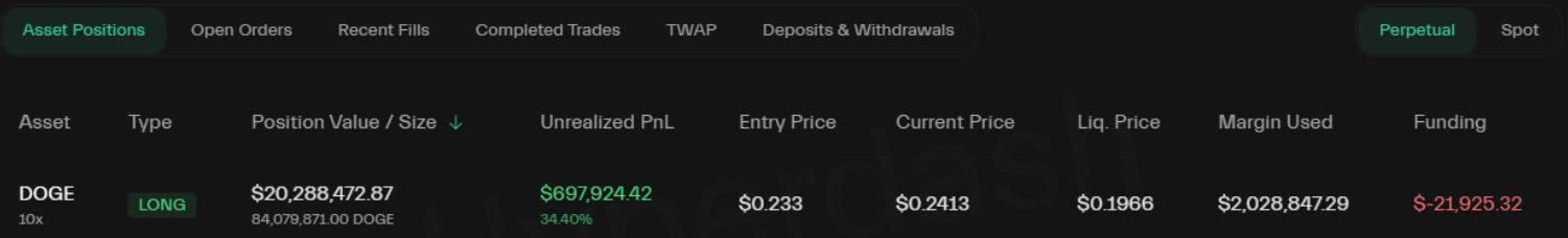 Posisi Whale Dogecoin - Hyperdash