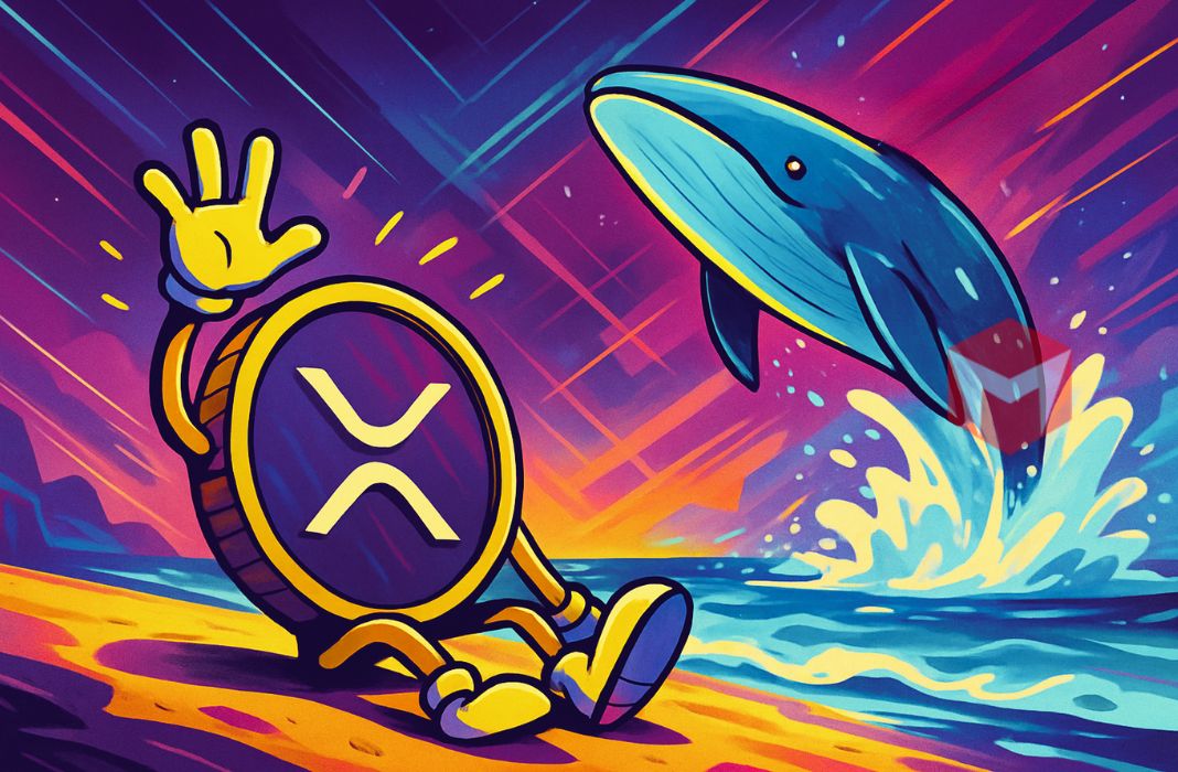 Ripple XRP whale koreksi
