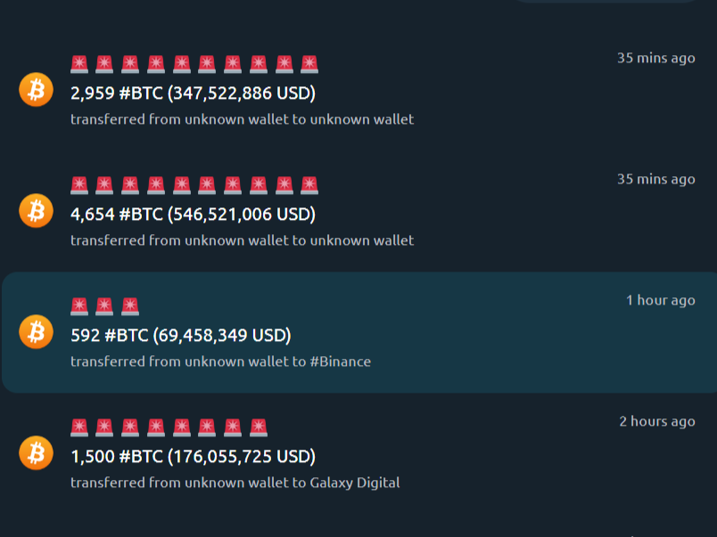 Transaksi Whale Crypto