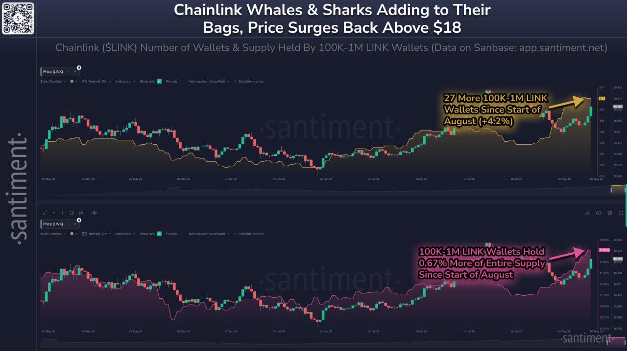 Akumulasi Altcoin LINK oleh Whale dan Shark - Santiment