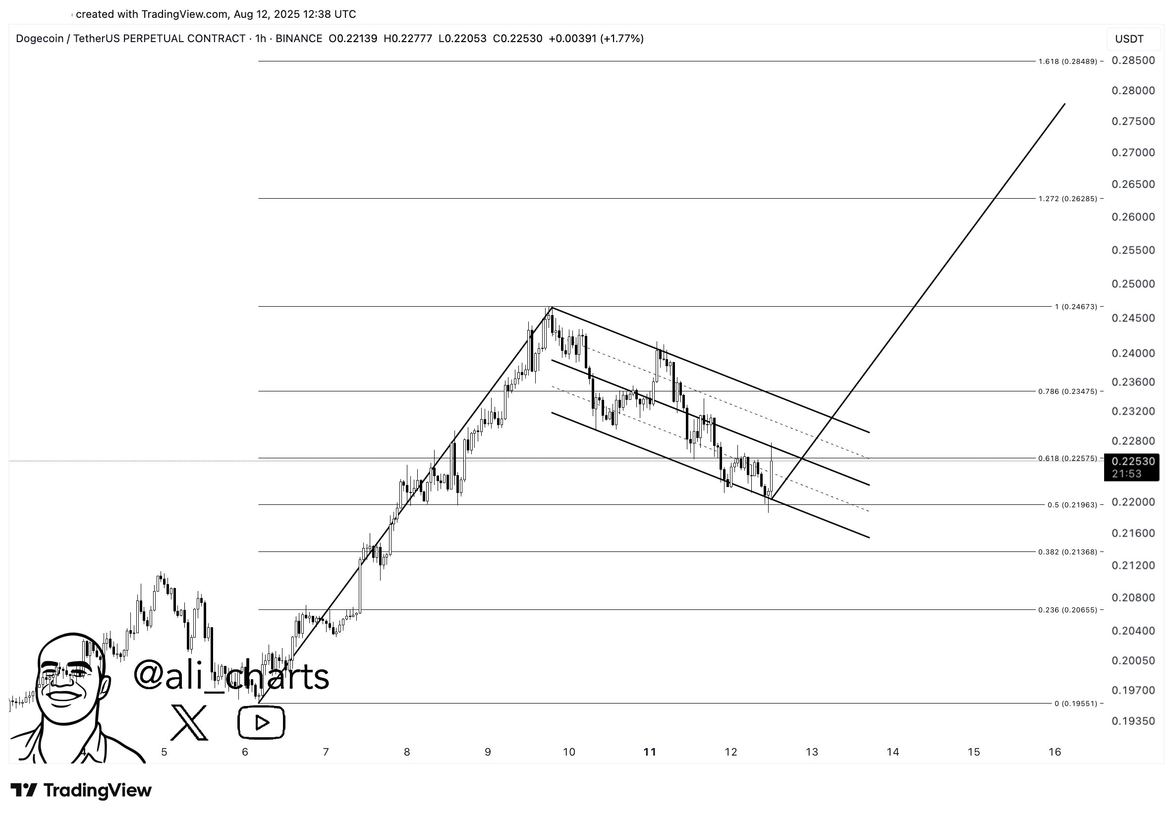 Pola Bullish Flag DOGE - Ali Martinez