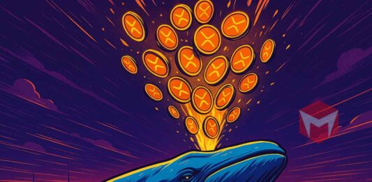 Whale XRP