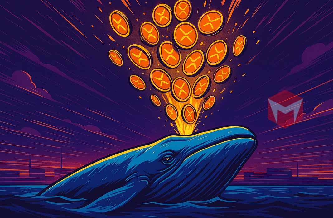Whale XRP