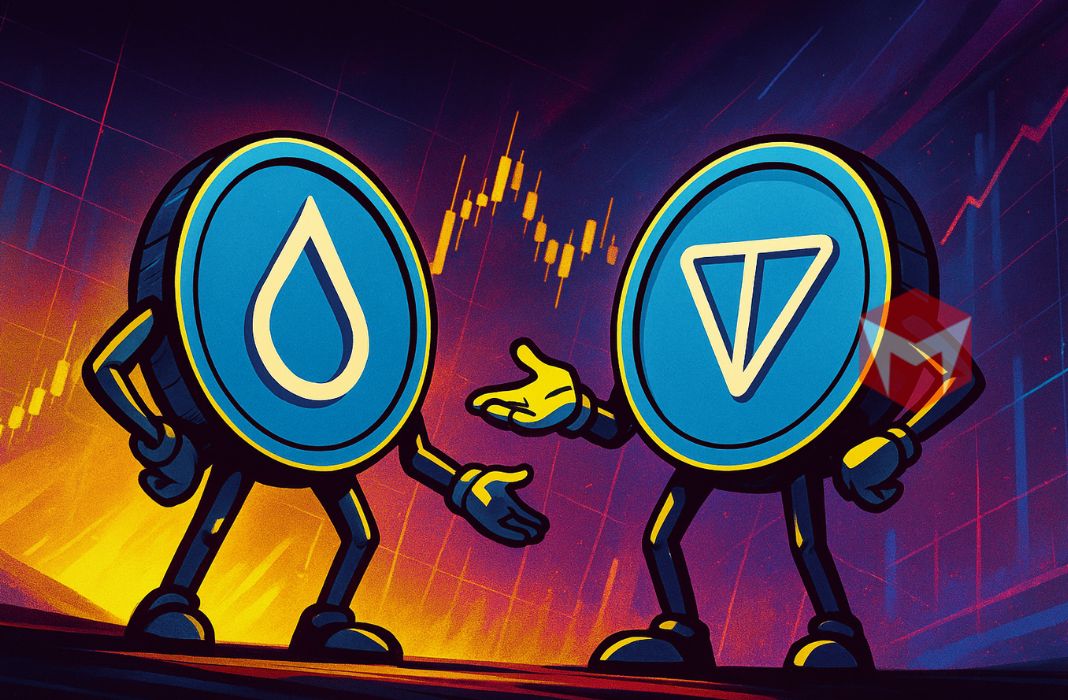 Altcoin SUI TON Altcoin SUI TON