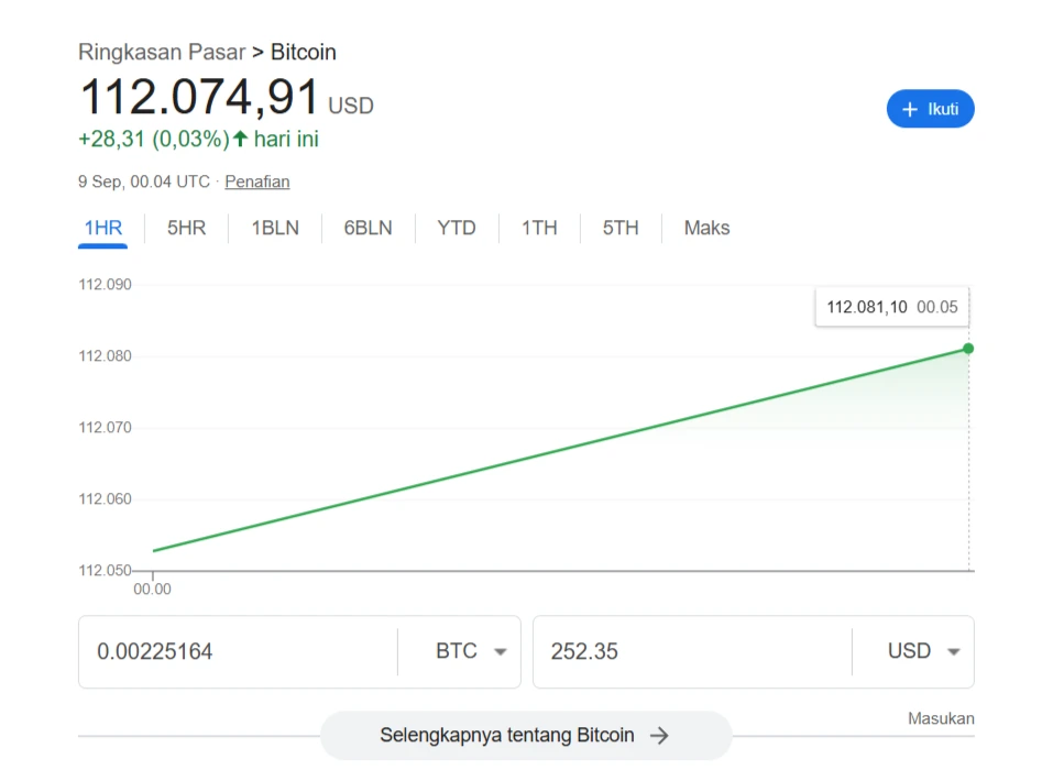 Nilai Bitcoin per Share MSTR