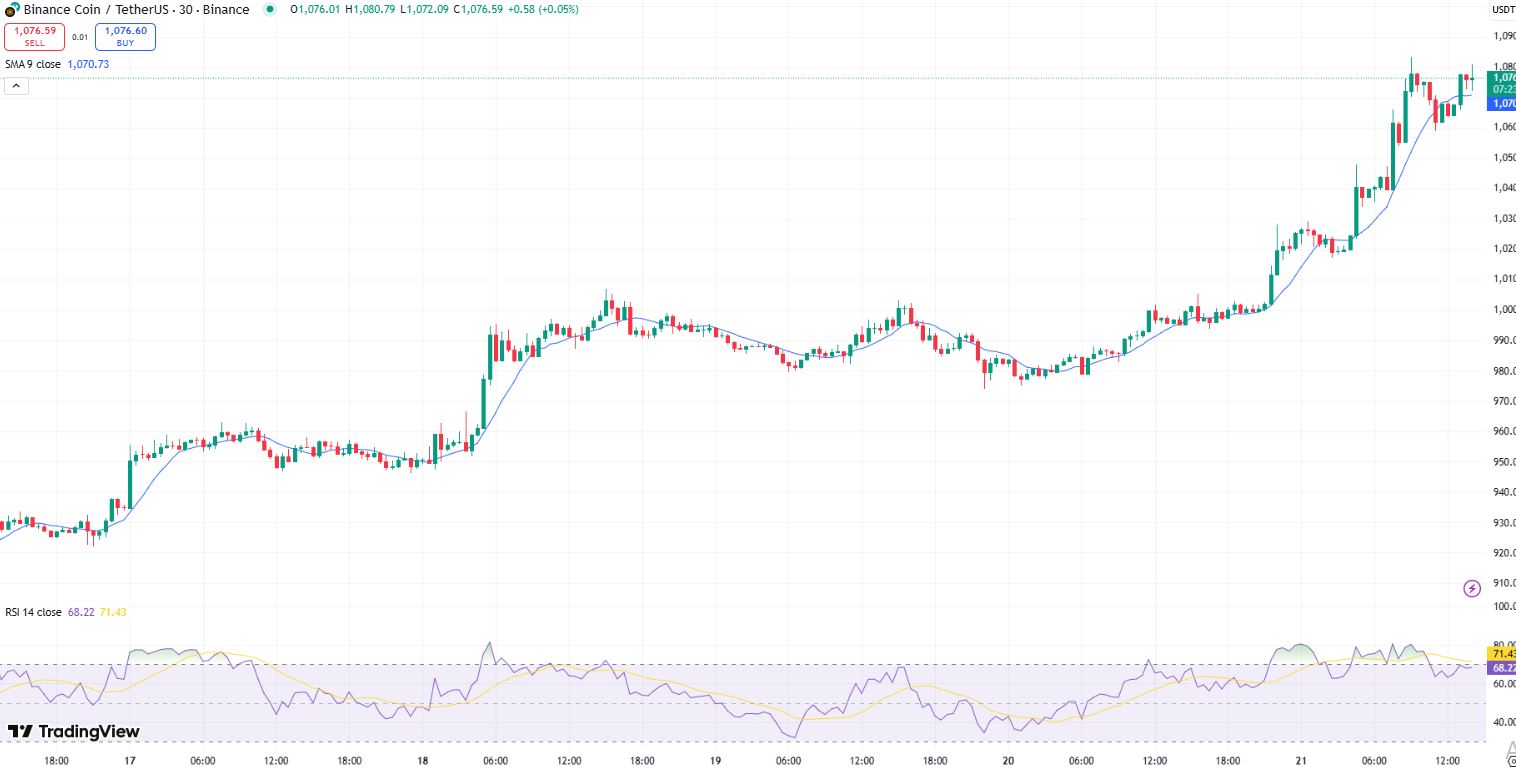 Pergerakan Harga BNB dalam Sepekan Terakhir - TradingView