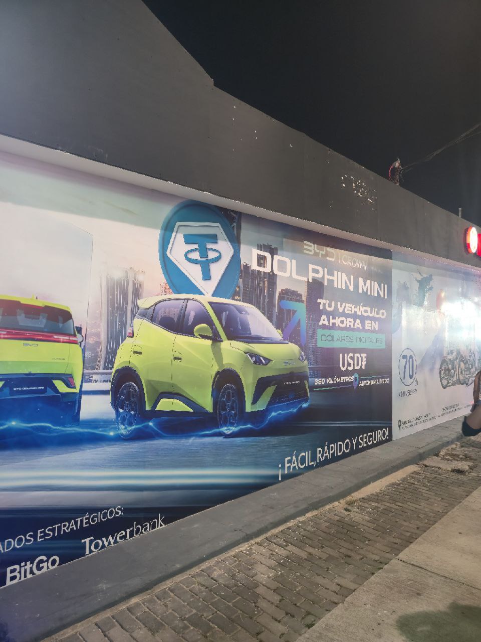 Poster Dolphin Mini BYD yang Menerima Pembayaran USDT - Paolo Ardoino