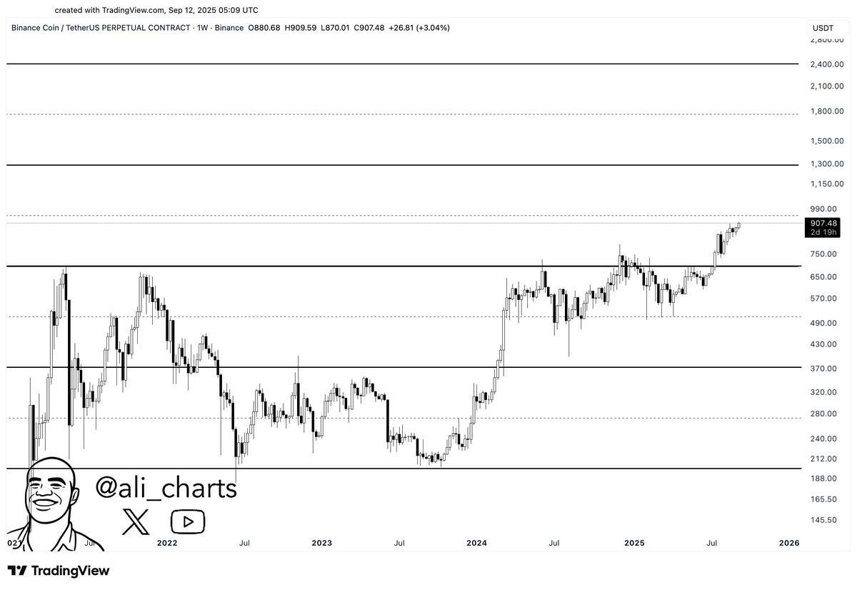 Potensi Breakout BNB ke US$1.300 - Ali Martinez