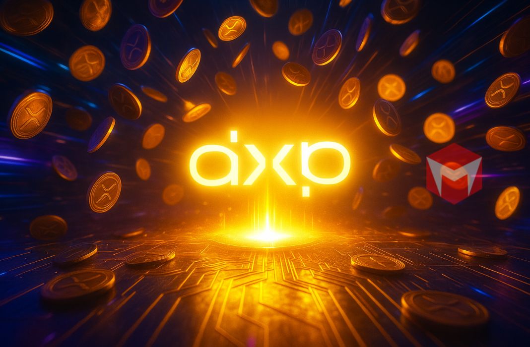 platlform dex DeXRP XRPL