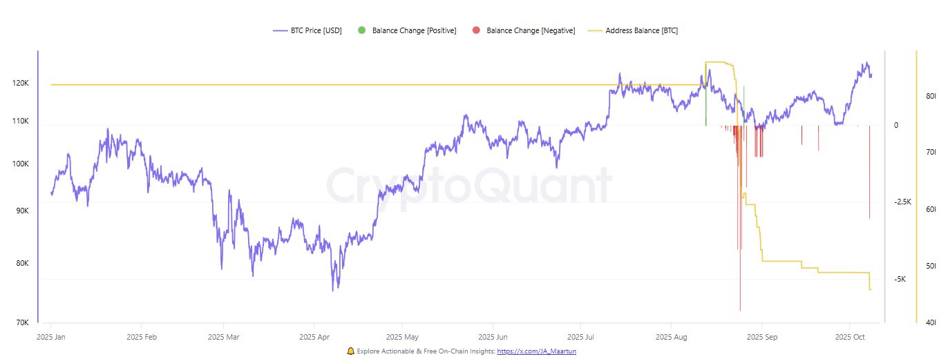 Aktivitas Whale Bitcoin OG 195DJ - CryptoQuant