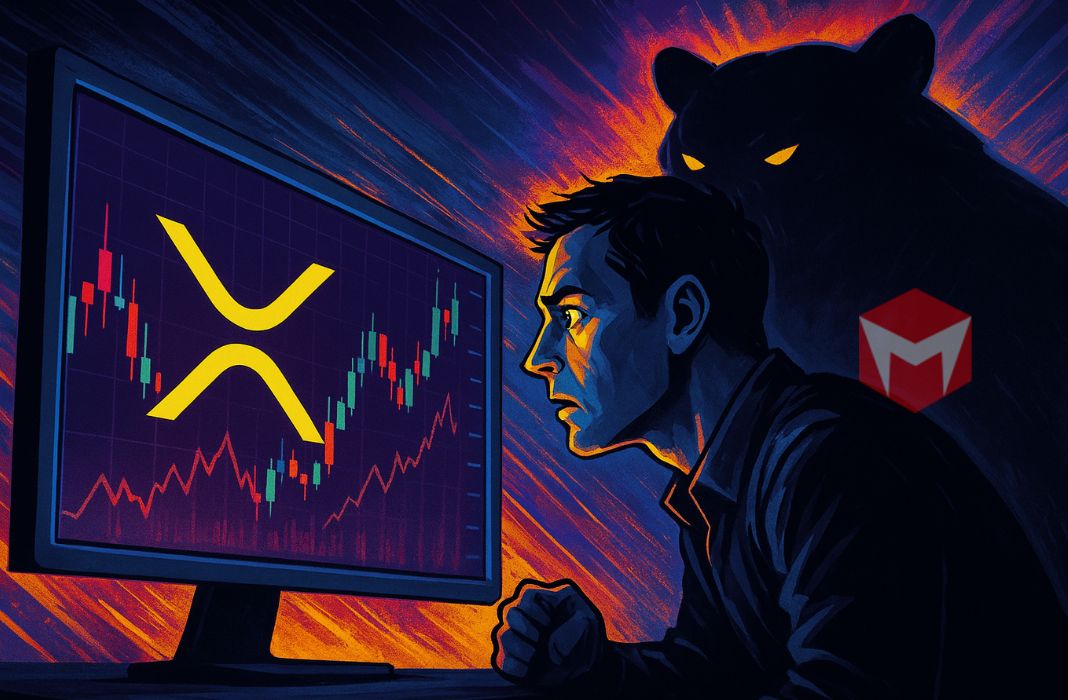 FUD XRP RIpple posisi long bullish FUD XRP RIpple posisi long bullish