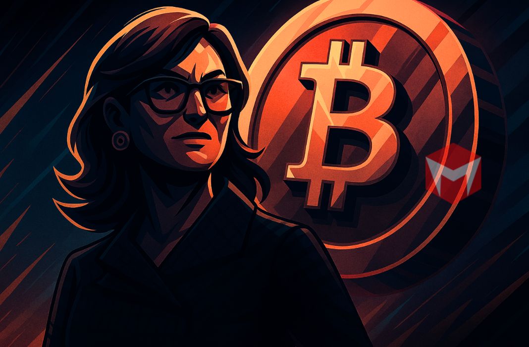 Cathie wood bitcoin dominasi btc memudar stablecoin