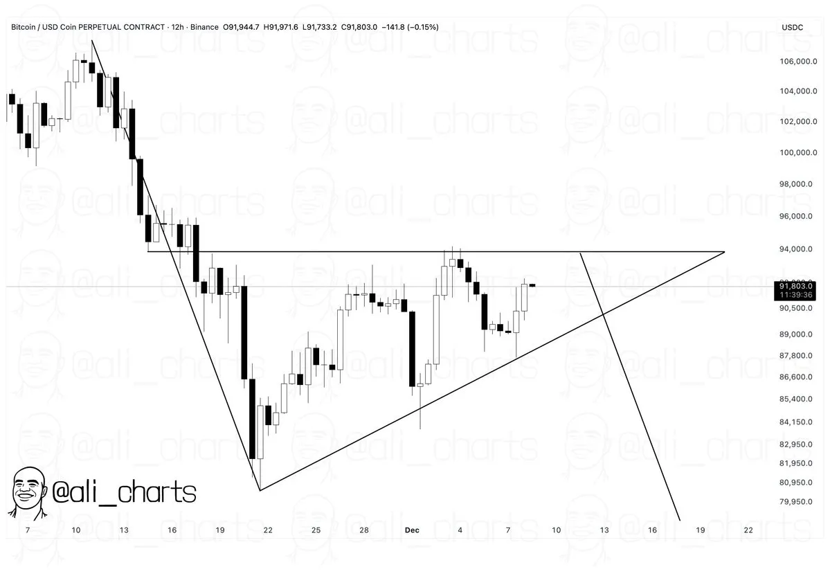 Bitcoin Bearish Flag - Ali Martinez