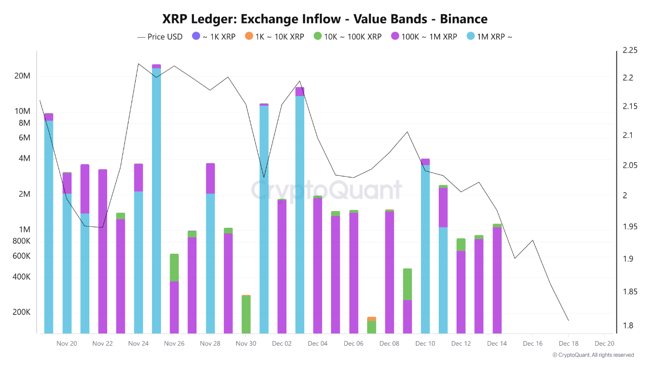 XRP Ledger inflow
