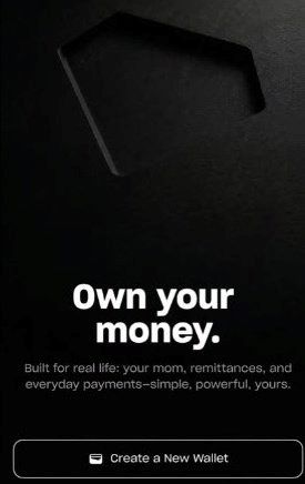 bocoran dompet kripto tether