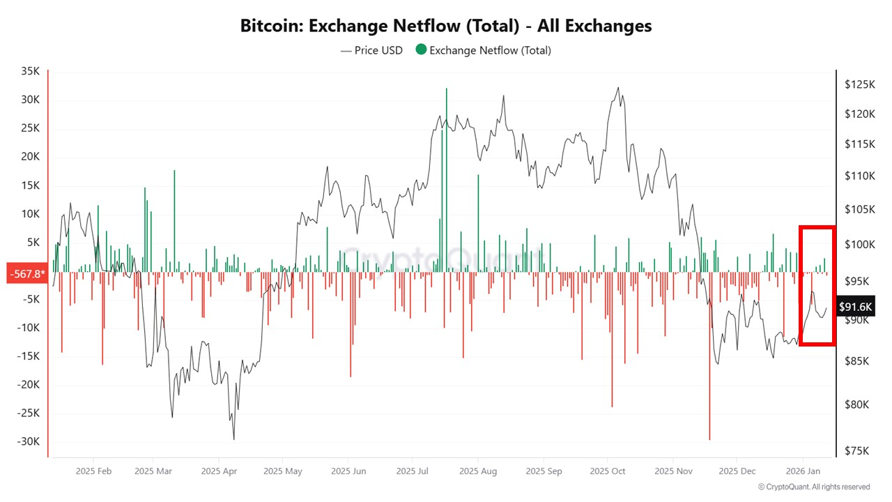 Bitcoin netflow