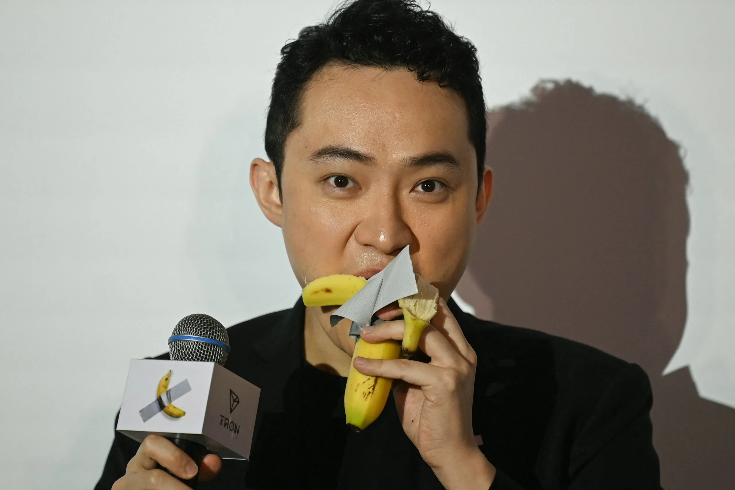 Justin Sun Banana Art