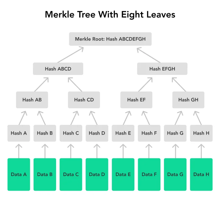 Merkle Tree