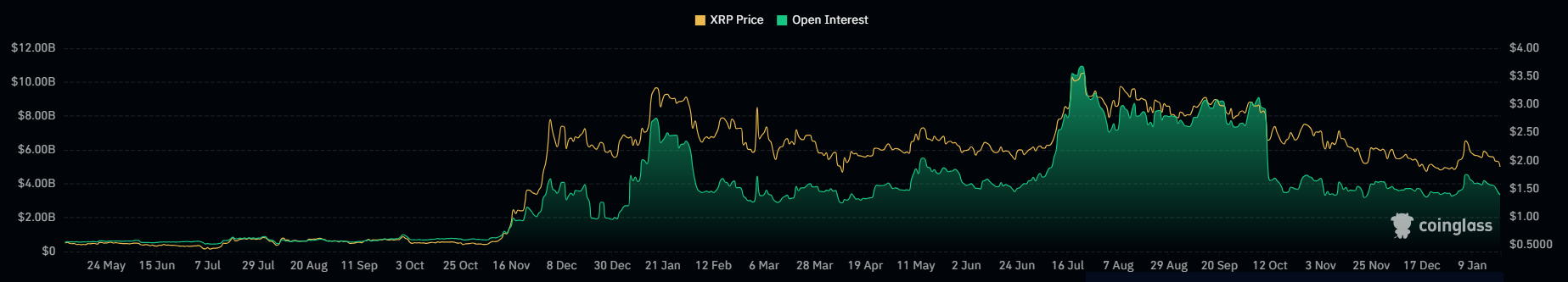 XRP OI